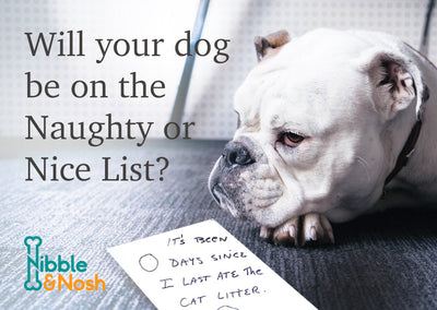 Will your dog be on the Naughty or Nice List?