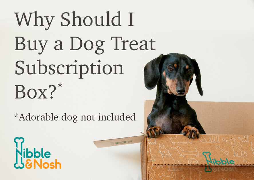 Dog treat subscription deals
