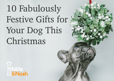 10 Fabulously Festive Gifts for Your Dog This Christmas
