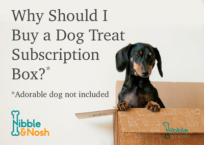Why Should I Order a Dog Treat Subscription Box?