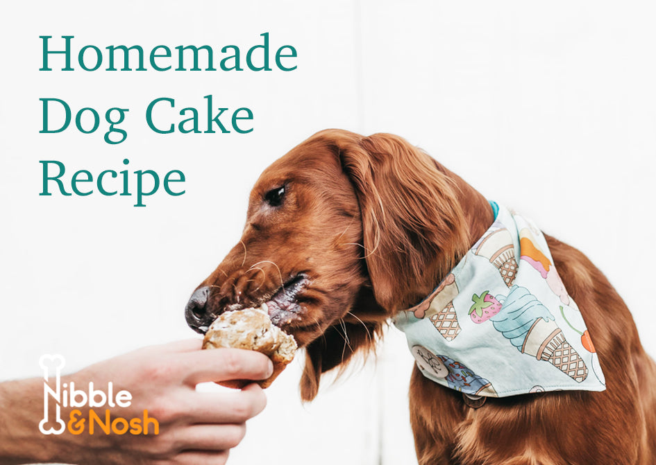 Dog Birthday Cake Recipe Nibble Nosh