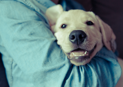Hugs with your Hound
