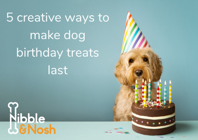 5 creative ways to make dog birthday treats last
