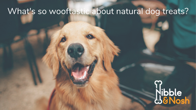 What’s so wooftastic about natural dog treats?