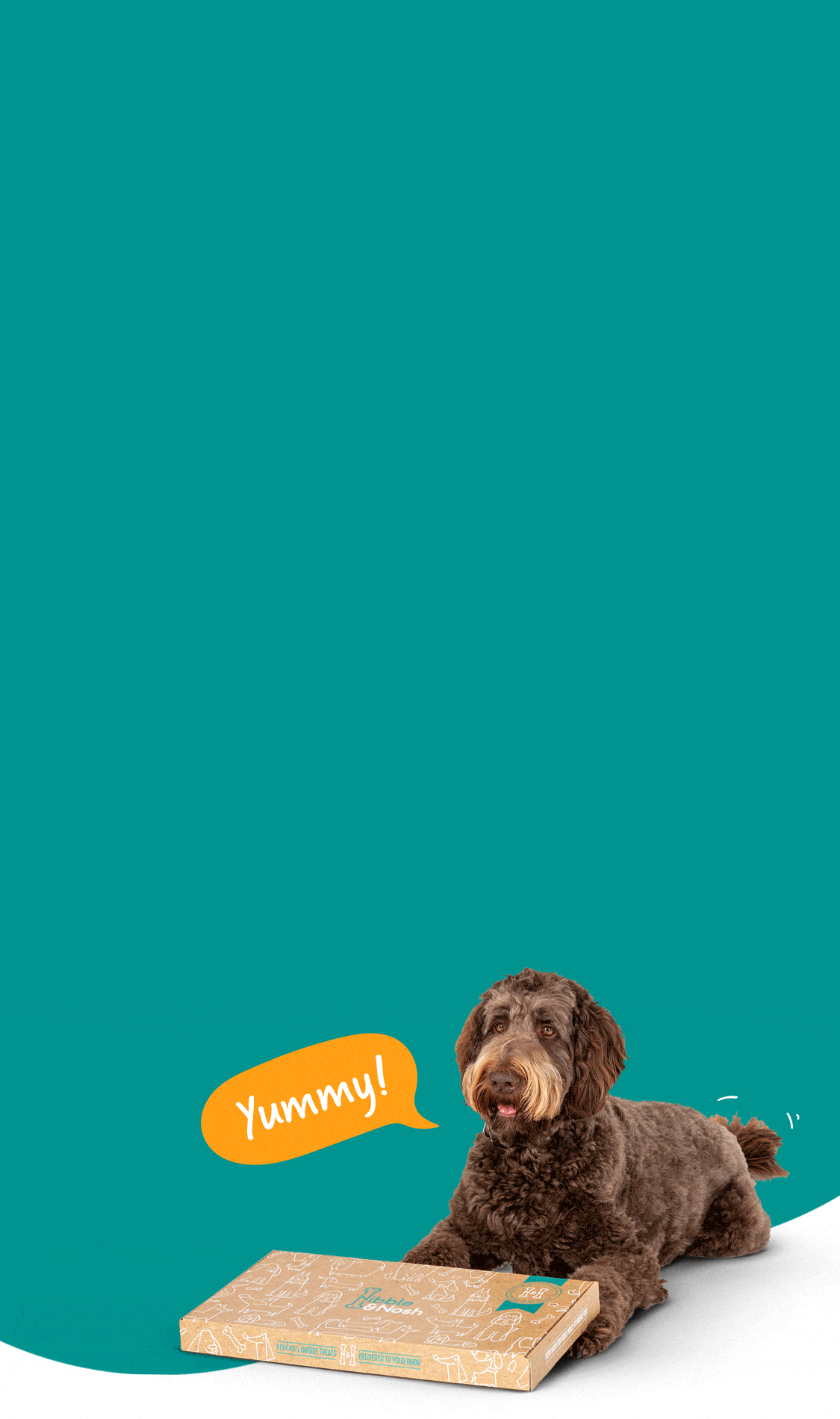 Dog Treat Subscription Boxes Gourmet Dog Treats Nibble Nosh