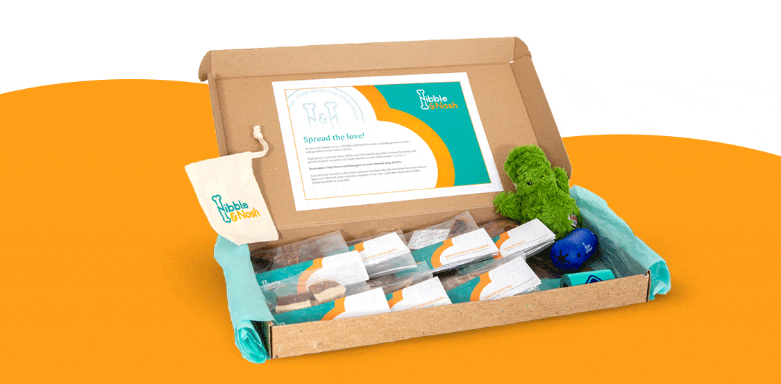 An opened luxury gourmet dog treat box displaying the content included