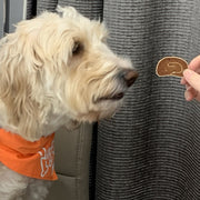 Luxury Gourmet Dog Treat Box - 8 Treats