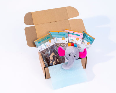 Luxury Gourmet Dog Treat Box - 4 Treats & Toy