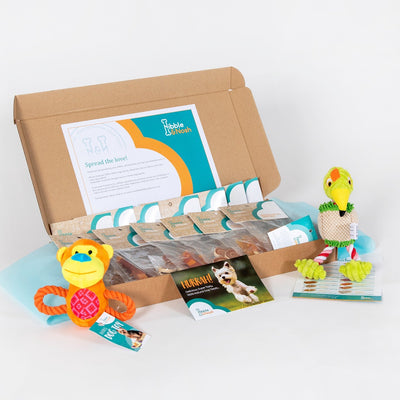 Image of Dog Treat Box with 14 bags of healthy dogs treats and 2 plush dog toys