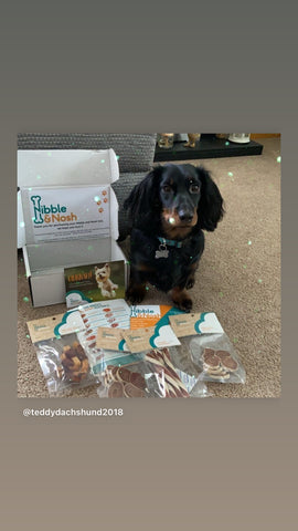 Another cute dog sat with all their treats from the lite plus gourmet dog treat box