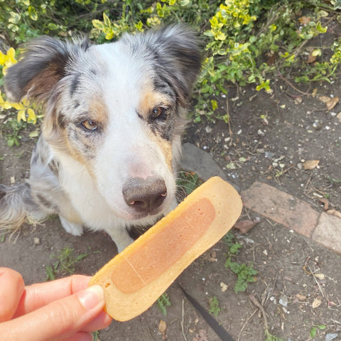 Luxury Gourmet Dog Treat Box - 8 Treats